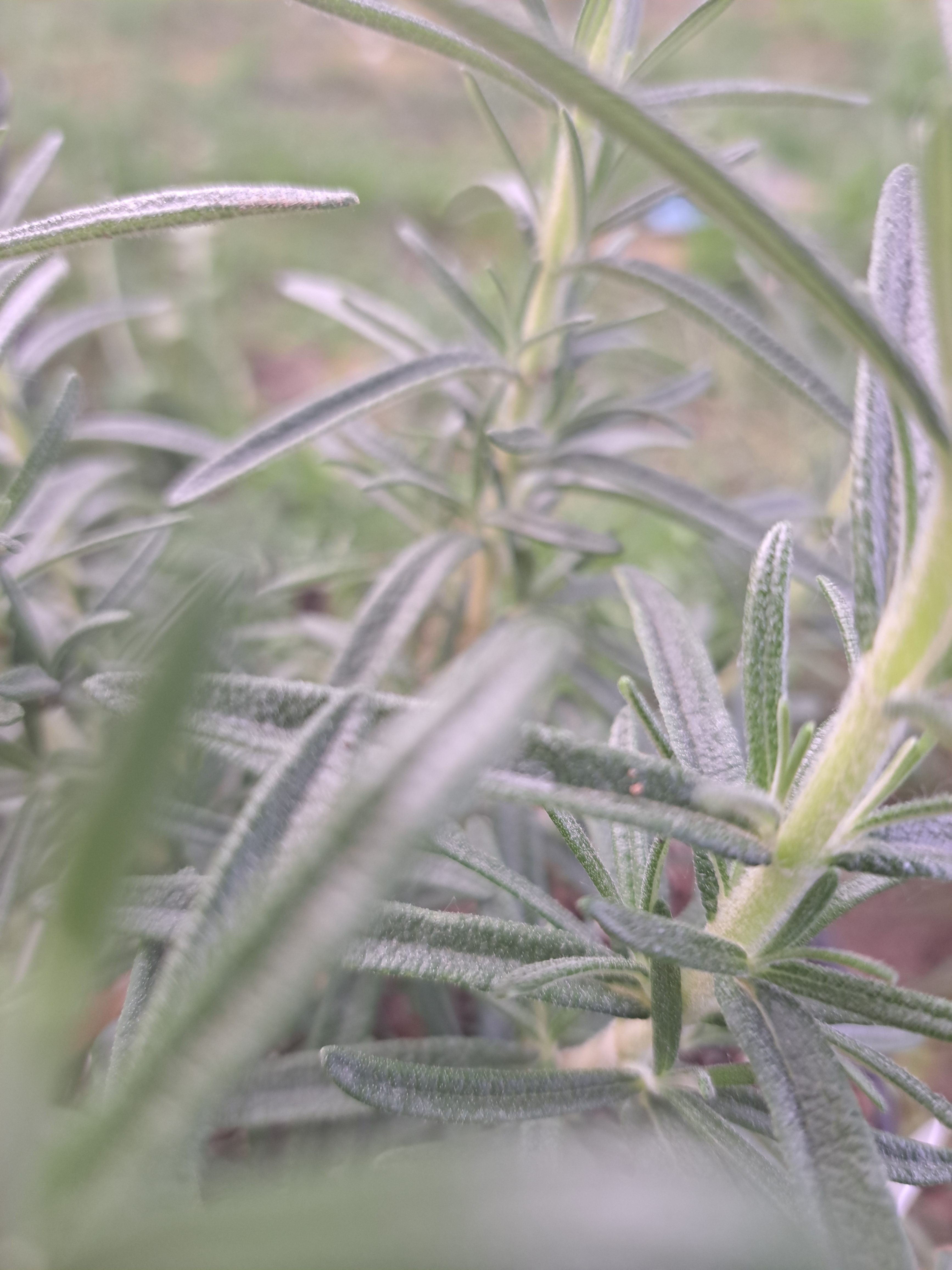 Changing Times Support